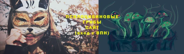 дмт Новокубанск