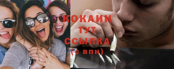 дмт Новокубанск