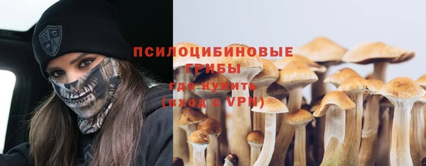 МДПВ Новозыбков