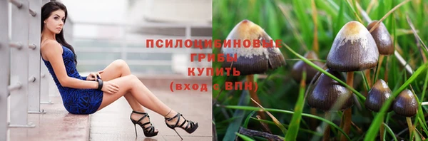 МДПВ Новозыбков