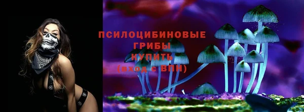 амфетамин Новодвинск