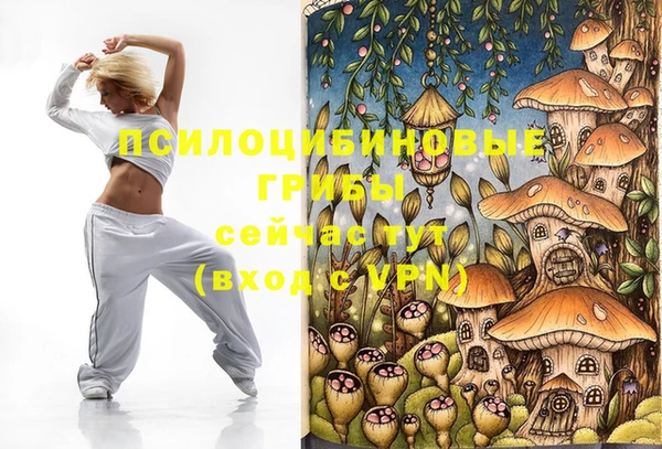 дмт Новокубанск