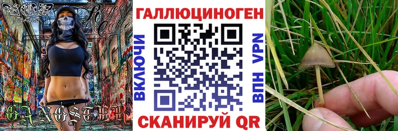 Галлюциногенные грибы Cubensis  Таганрог 